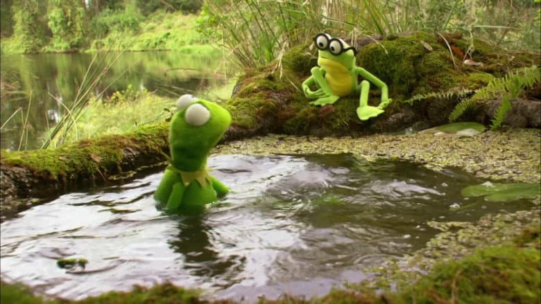 Backdrop from Kermit's Swamp Years