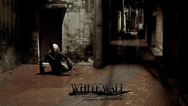 Backdrop from White Wall