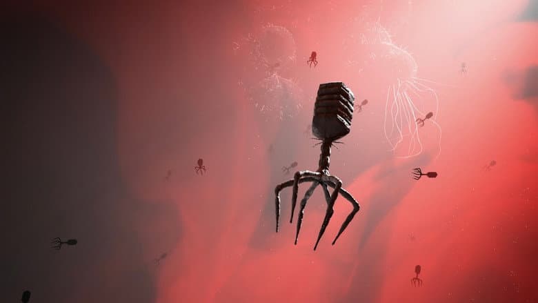 Backdrop from Bacteria Killers