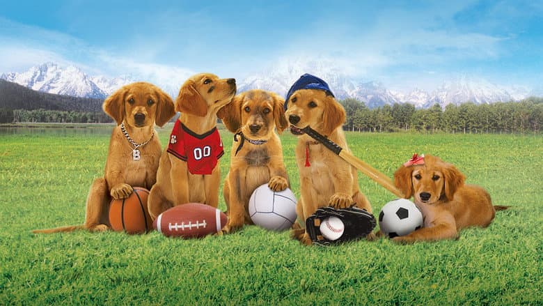 Backdrop from Air Buddies