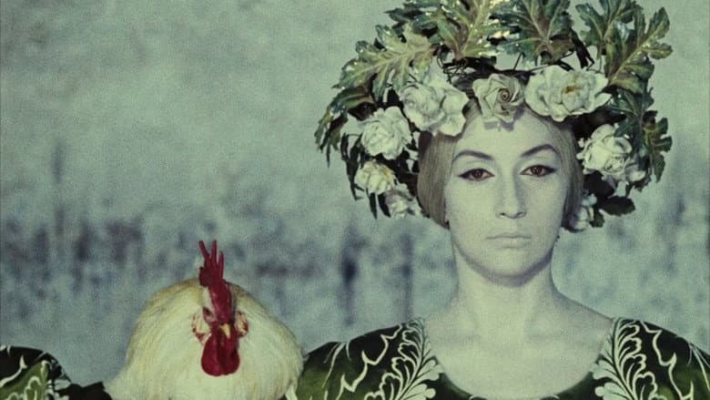 Backdrop from The Color of Pomegranates