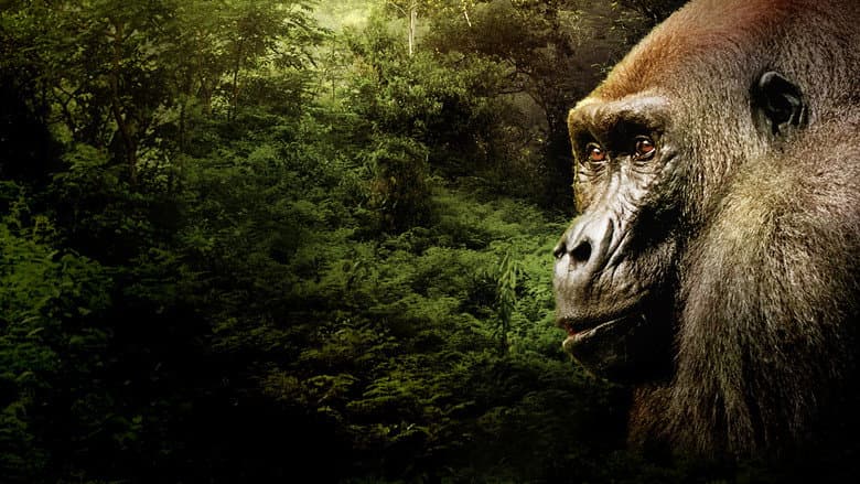 Backdrop from Gorillas Close Up