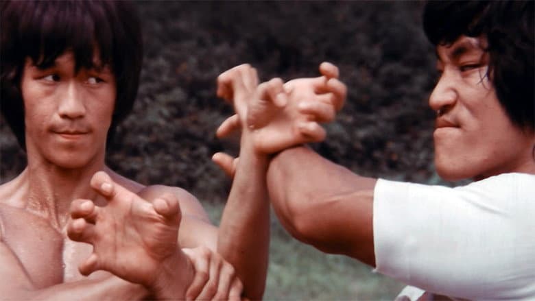 Backdrop from The Clones of Bruce Lee
