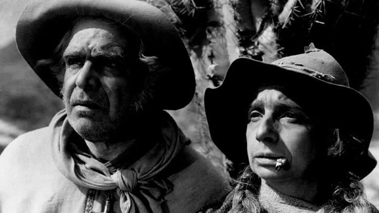 Backdrop from The Gaucho War