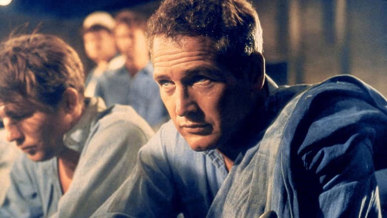 Backdrop from Paul Newman: The Restless