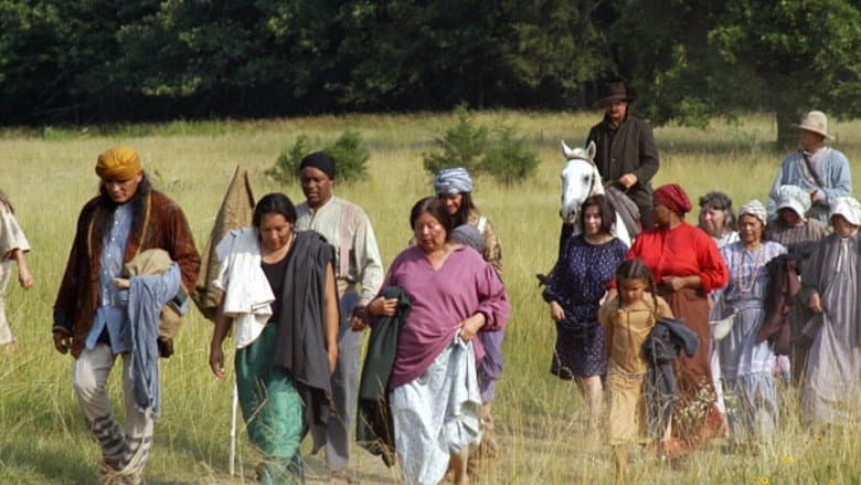 Backdrop from The Trail Of Tears: Cherokee Legacy