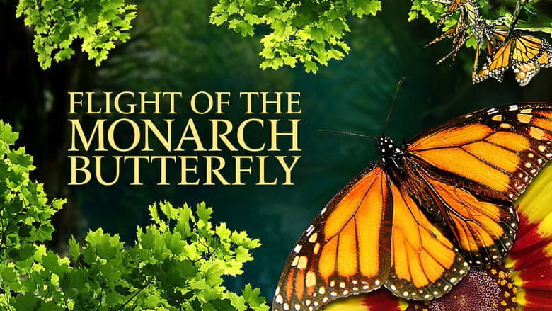 Backdrop from Flight of the Monarch Butterfly