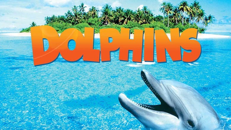 Backdrop from Dolphins