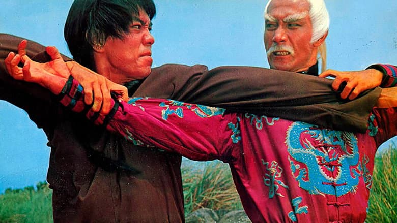 Backdrop from Warriors of the Sacred Temple
