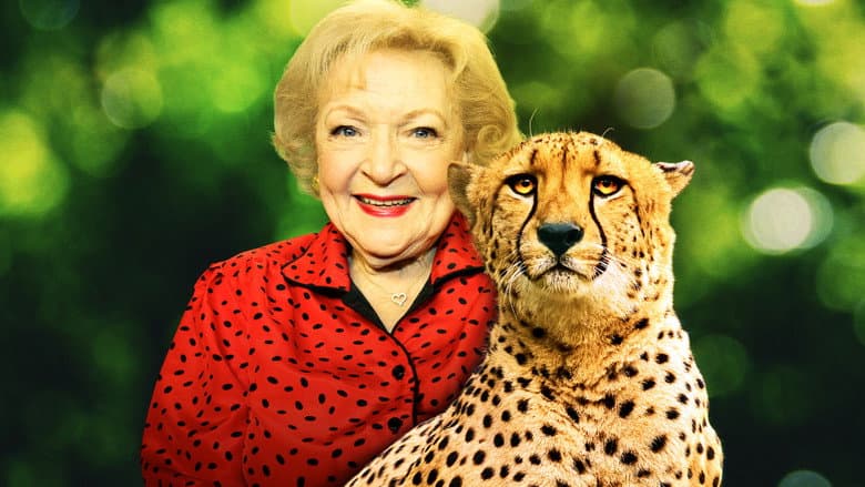 Backdrop from Betty White Goes Wild
