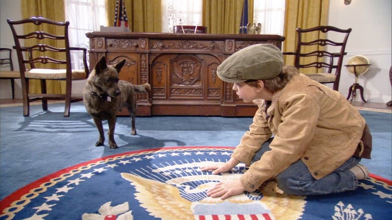 Backdrop from First Dog