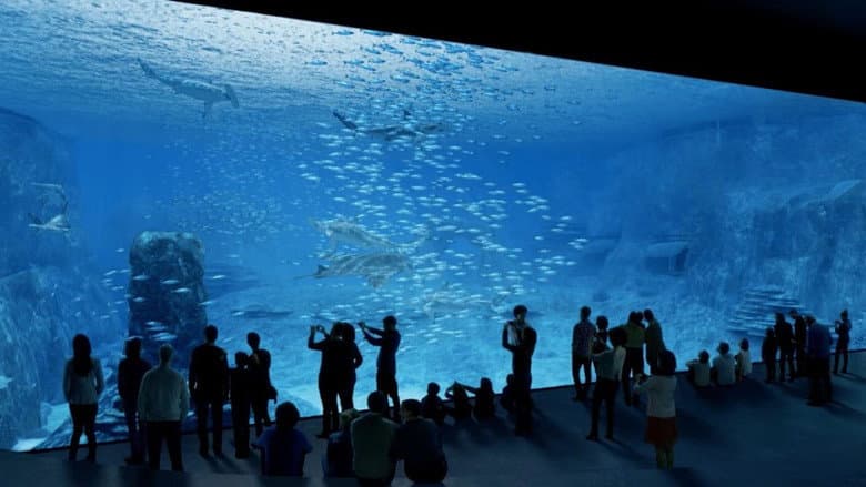 Backdrop from Nausicaa: The Largest Aquarium in Europe