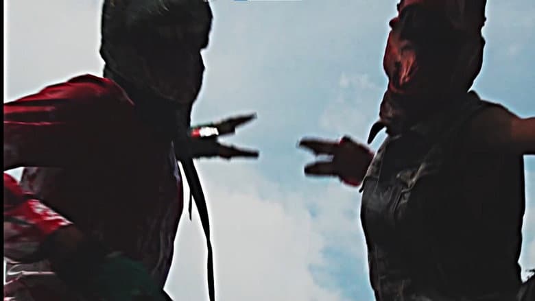 Backdrop from Raptor Fight!