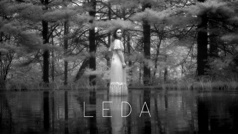 Backdrop from Leda