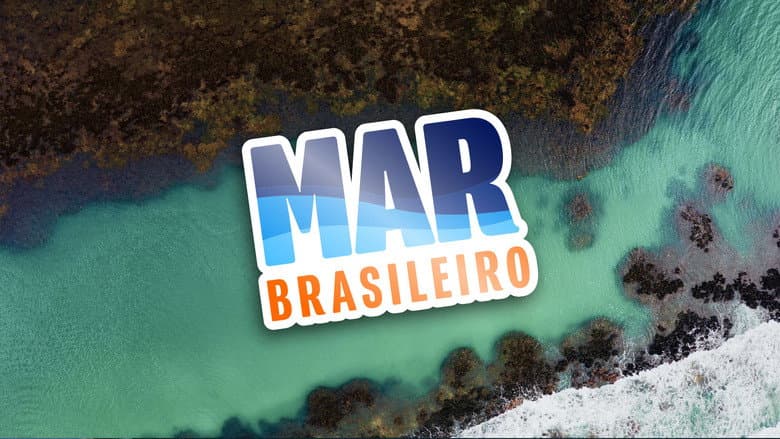 Backdrop from Mar Brasileiro