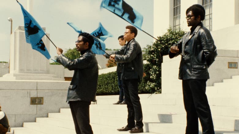 Backdrop from Black Panthers