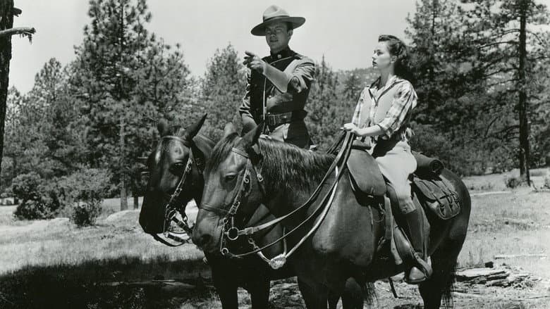 Backdrop from Northwest Rangers