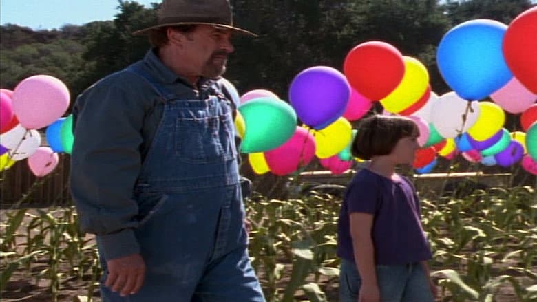 Backdrop from Balloon Farm