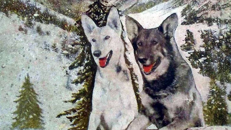 Backdrop from A Hero of the Big Snows