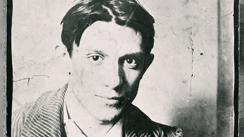 Backdrop from Young Picasso