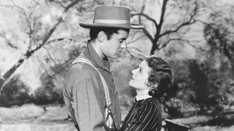 Backdrop from The Farmer Takes a Wife