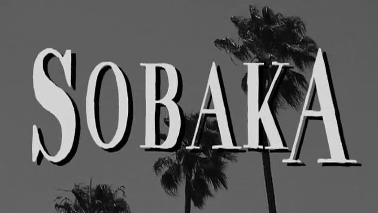 Backdrop from Sobaka