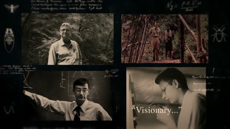 Backdrop from E.O. Wilson – Of Ants and Men