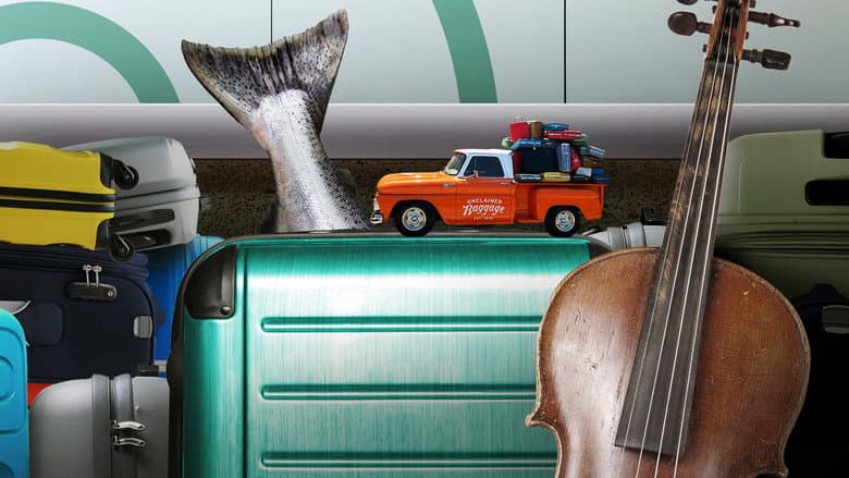 Backdrop from Inside Airport Lost & Found