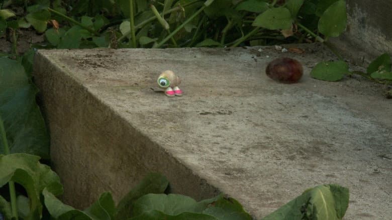 Backdrop from Marcel the Shell with Shoes On, Three