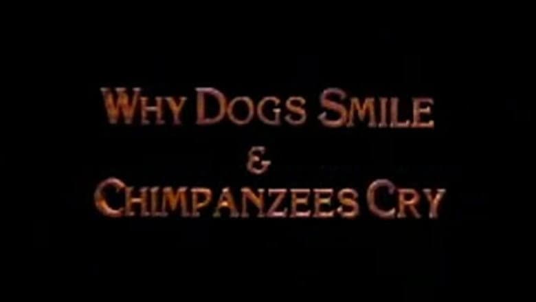 Backdrop from Why Dogs Smile and Chimpanzees Cry