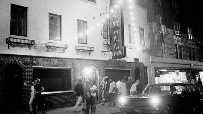 Backdrop from Stonewall Uprising