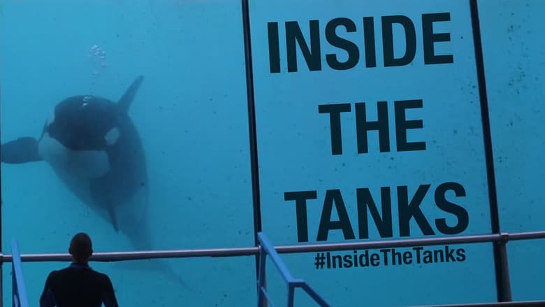Backdrop from Inside the Tanks