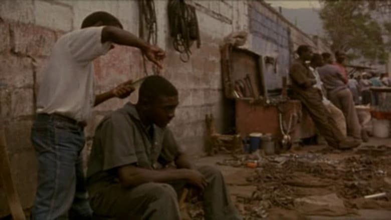 Backdrop from Haiti. Untitled