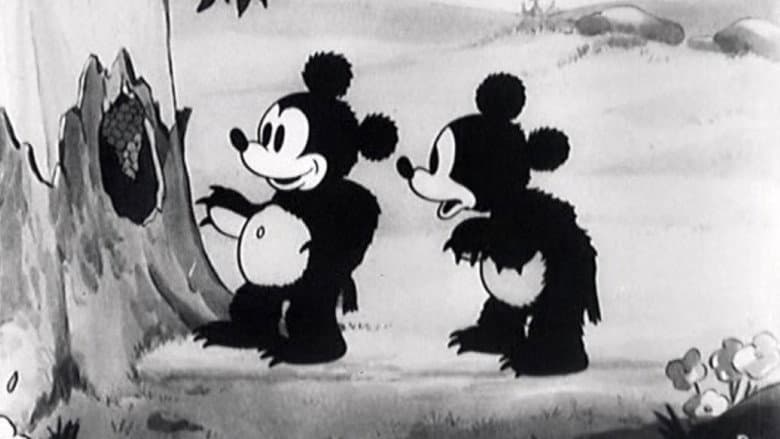 Backdrop from The Bears and the Bees