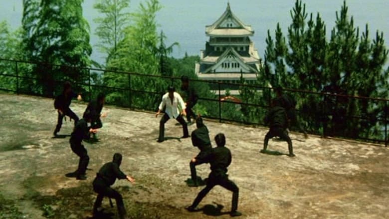 Backdrop from Which Is Stronger, Karate or the Tiger?
