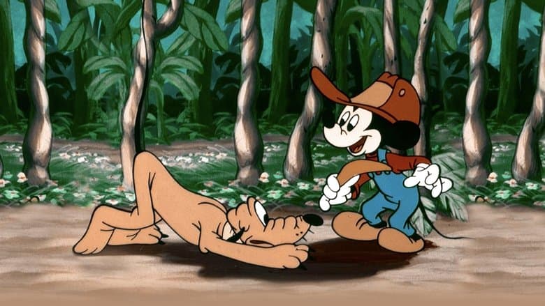 Backdrop from Mickey Down Under