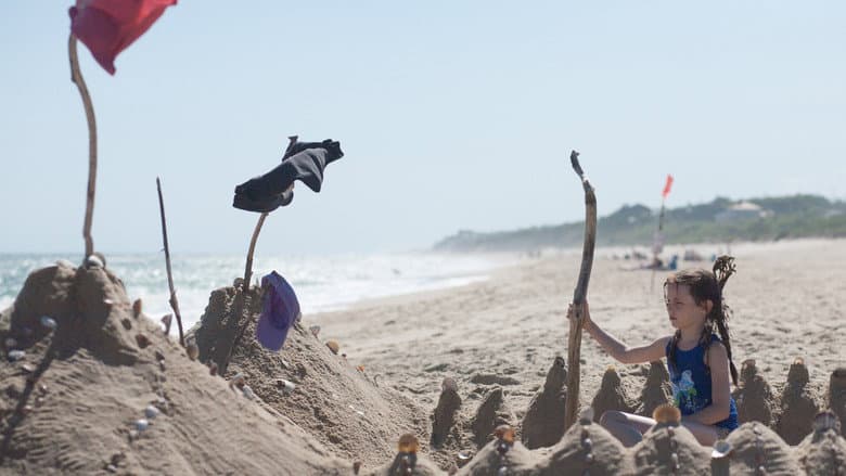 Backdrop from Sand Castle
