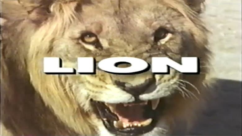 Backdrop from Predators of the Wild: Lion