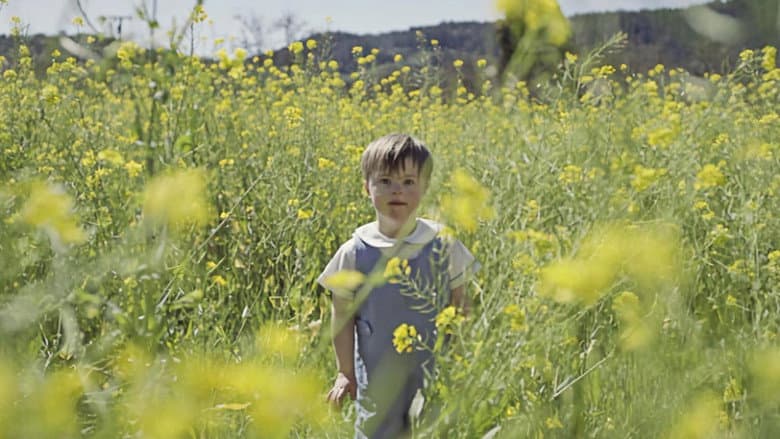 Backdrop from So Much Yellow