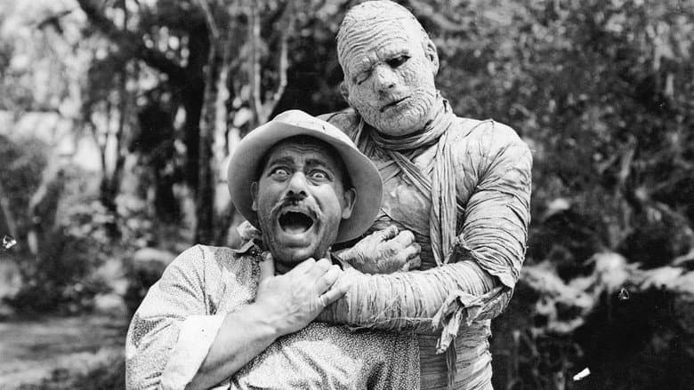 Backdrop from The Mummy's Tomb