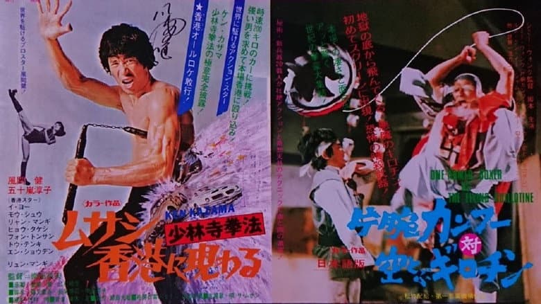 Backdrop from Karate from Shaolin Temple