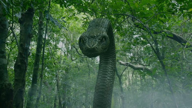 Backdrop from Deep Sea Python
