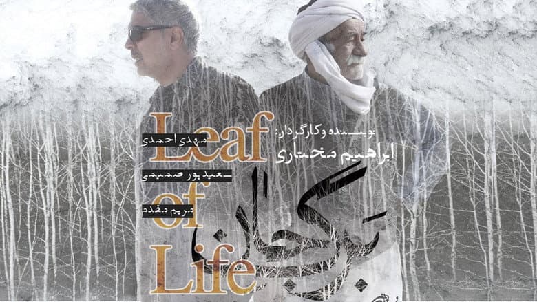Backdrop from Leaf of Life