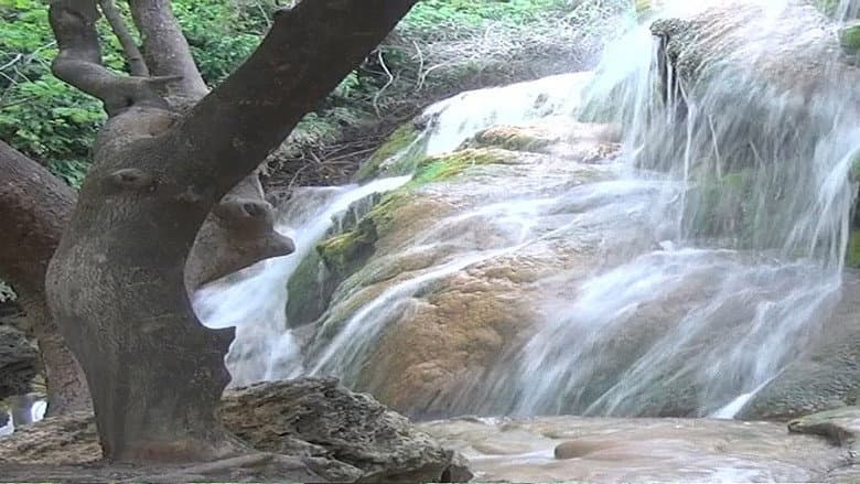 Backdrop from Experience Nature 3D