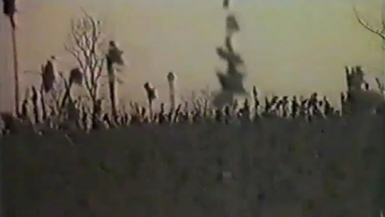 Backdrop from Angel of the Harvest