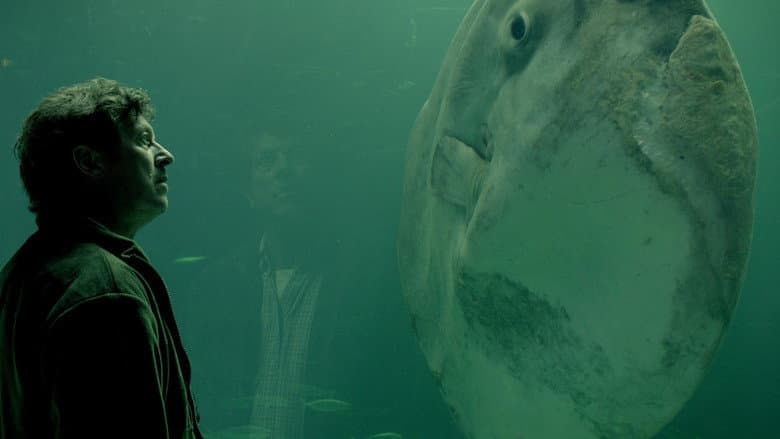 Backdrop from The Sunfish