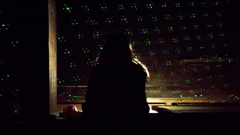 Backdrop from The Disco Shines