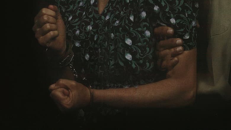 Backdrop from Locked Up: A Mother’s Rage