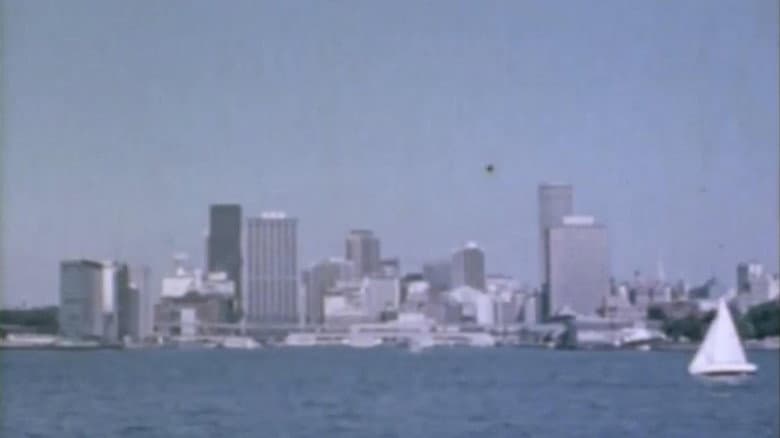 Backdrop from Sunshine City