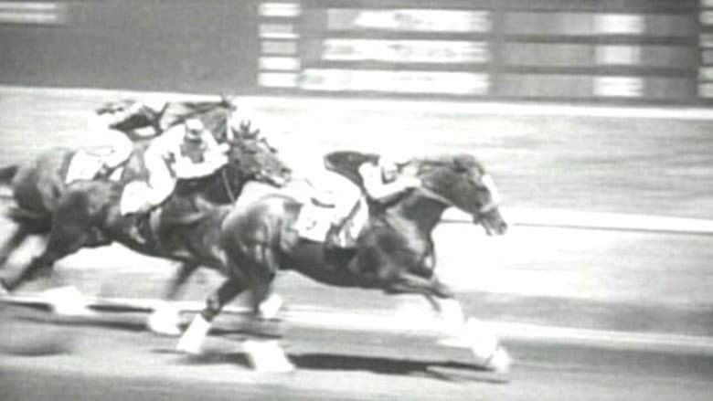 Backdrop from Hollywood Handicap